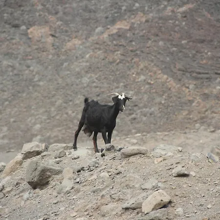 Casa Playa Paraiso Cs Daire Costa Calma
