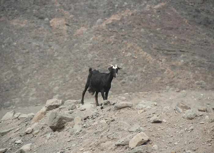 Casa Playa Paraiso Cs Appartamento Costa Calma